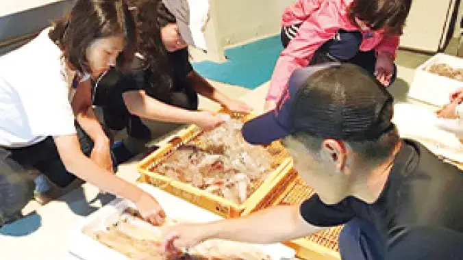 向津具半島でのイカ釣り漁体験