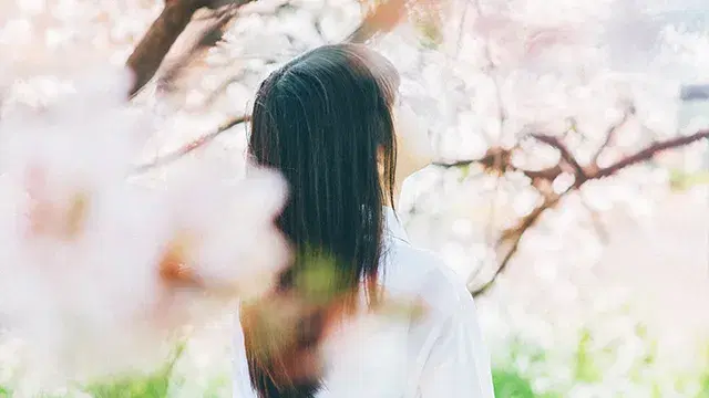 大学合格実績のイメージ画像