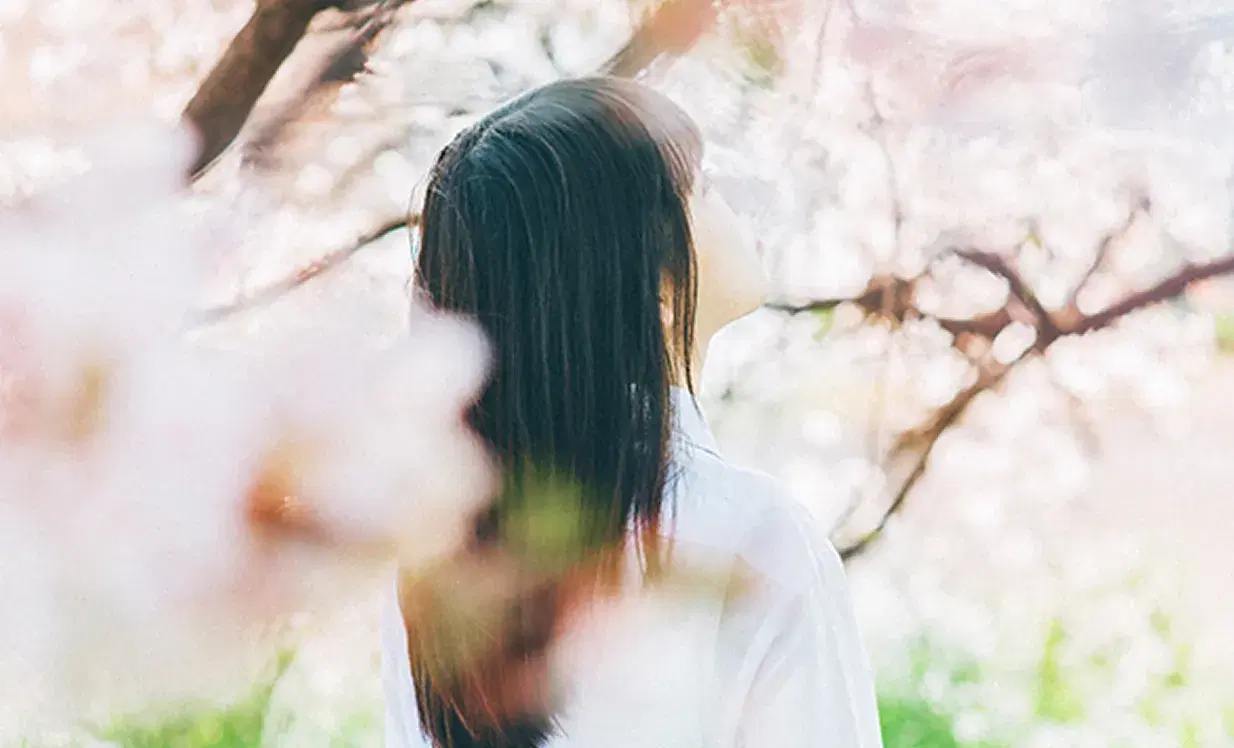 進路実績(進学・就職)のイメージ画像