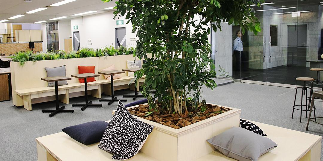 キャンパスイメージ7