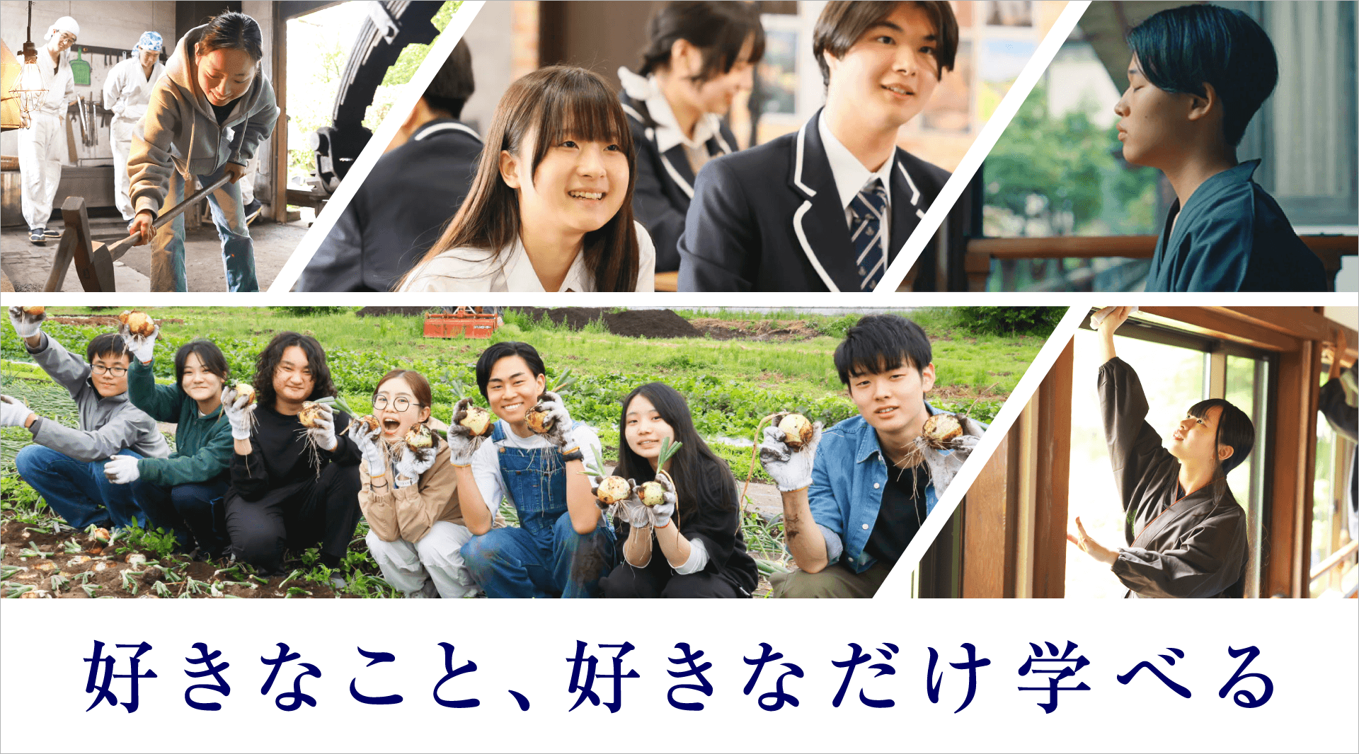 N高グループ 新TVCMを7月7日(月)より全国放映開始<br> 岐阜県関市の刀鍛冶体験、群馬県の農業体験、<br> 高野山の宿坊体験の様子を紹介