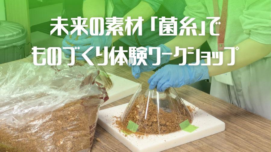 【体験学習レポート】菌糸っておもしろい!<br>サステナブルなものづくり体験 in 東京・御茶ノ水キャンパス