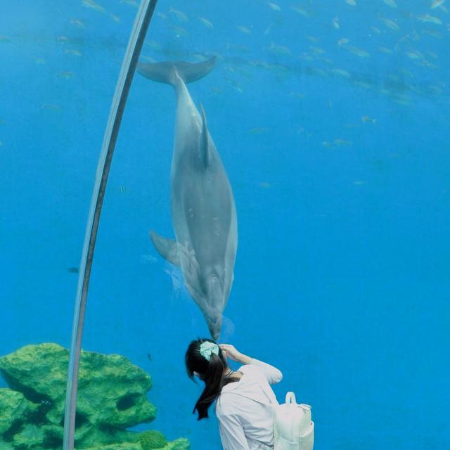 鈴木 理緒