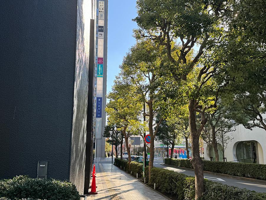 【武蔵境】キャンパスまで5分!賑わう駅周辺とおすすめルートをご紹介