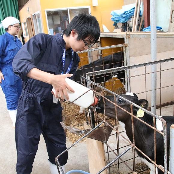 日本最北端の牧場で酪農のリアルを体験