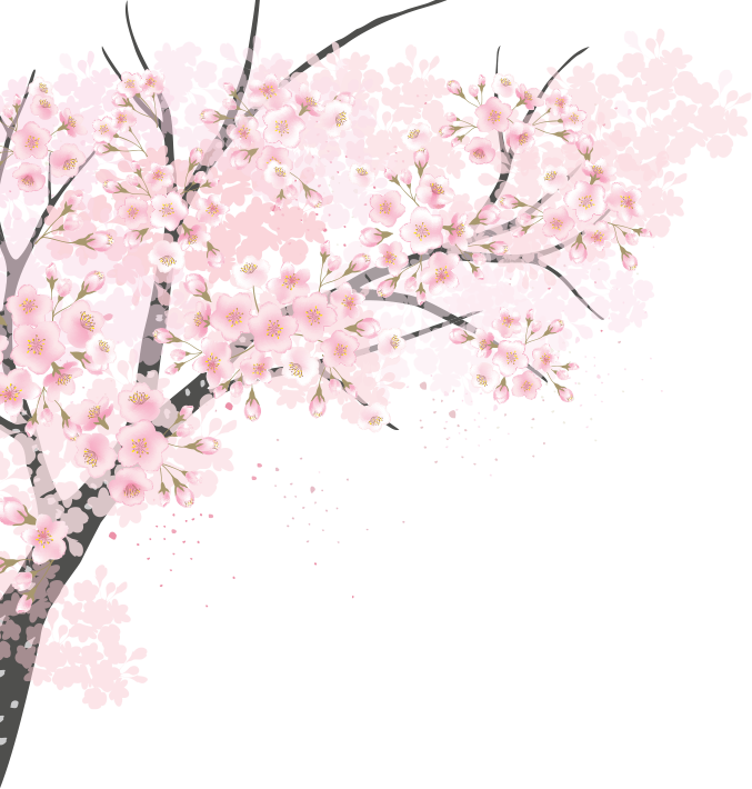 KV桜